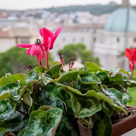 Con Balcone In Centro Storico * Ancona